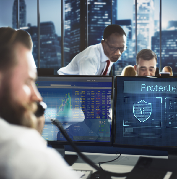 Integrated Security Systems