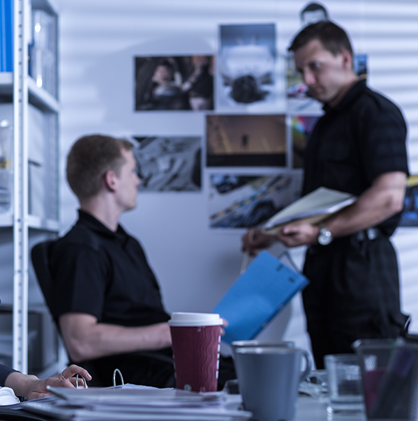 Investigation and Risk Management