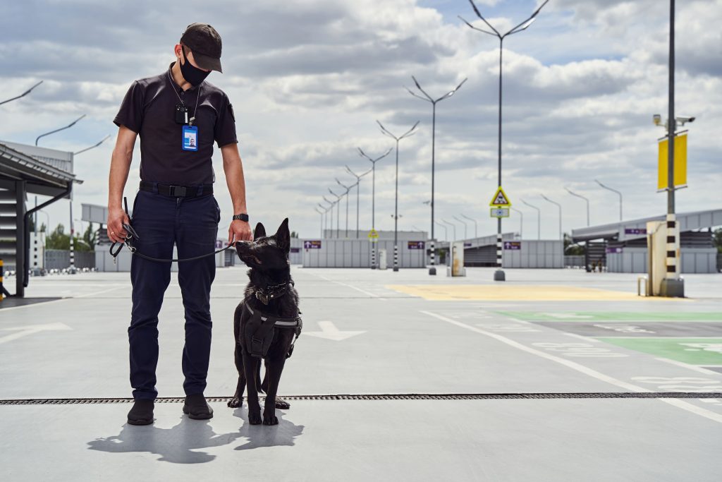 Customized Security Plans