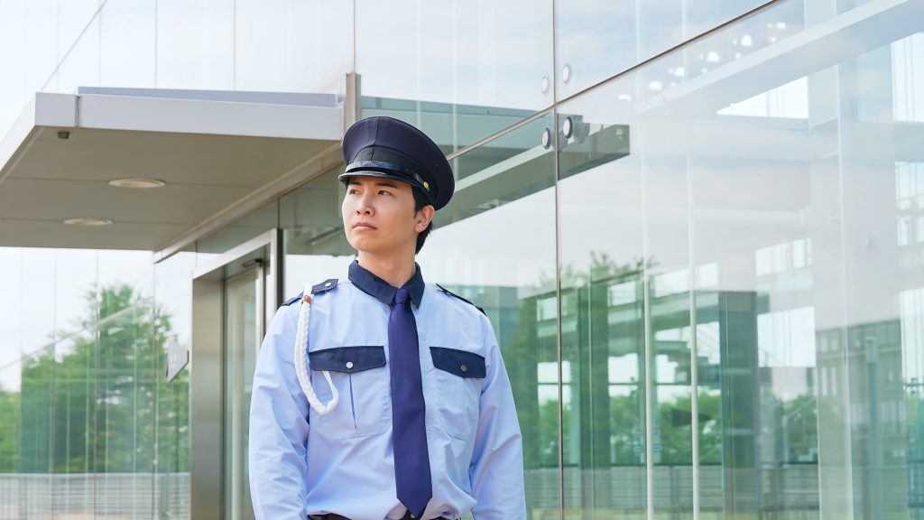 Government and Public Sector Security Services